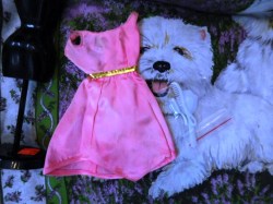 1144 1971 BARBIE DOLL GROWIN PRETTY HAIR PINK SHAPED DRESS, GOLD BELT, SOLO